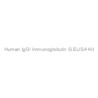 Human IgG/ Immunoglobulin G ELISA Kit